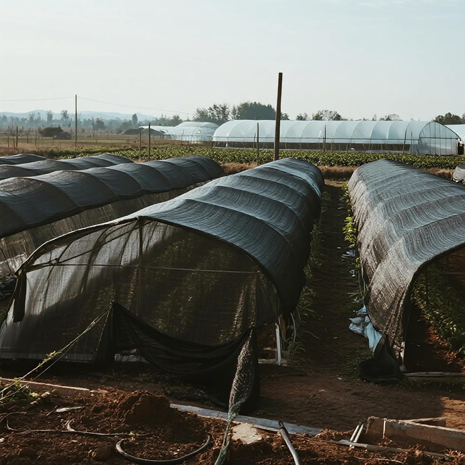 winemana 6x120 FT Outdoor Shade Cloth for Garden & Plants - 50% Large Black Mesh Tarp, UV Resistant Woven Shade Fabric