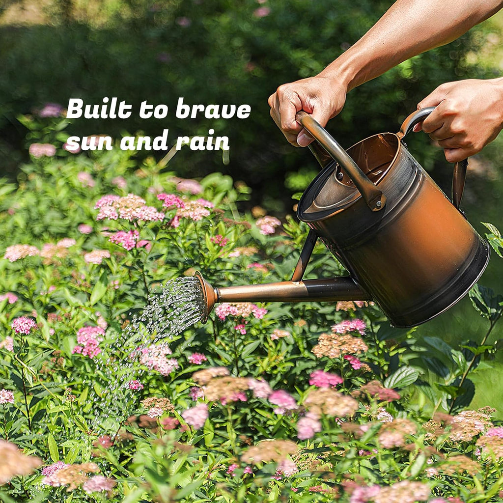 1 Gallon Watering Can for Plants, Watering Cans for Indoor&Outdoor Gardening, Galvanized Steel Watering Pot with