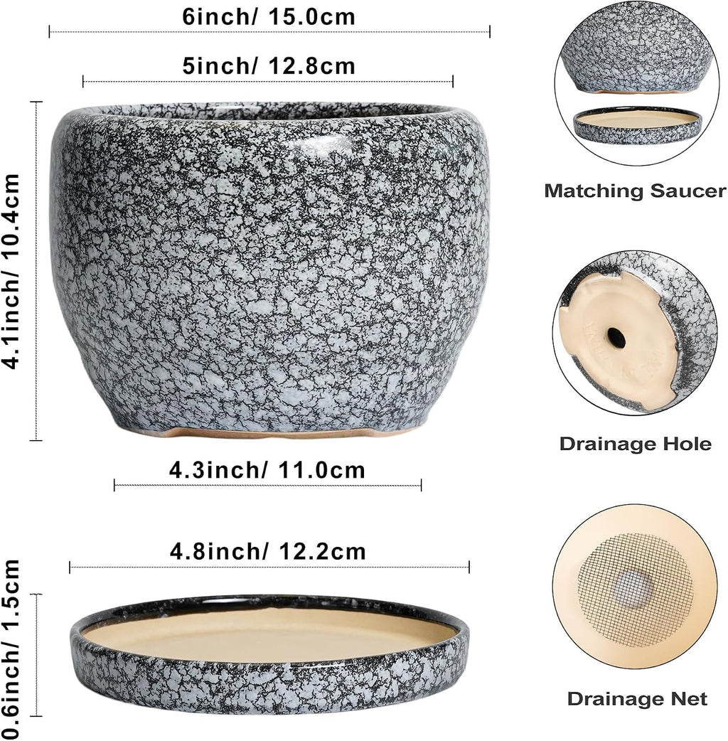 SQOWL Ceramic Pot for Plants - 6 Inch Ceramic Planter for Indoor Outdoor, Decorative Plant Pot with Drainage Hole and