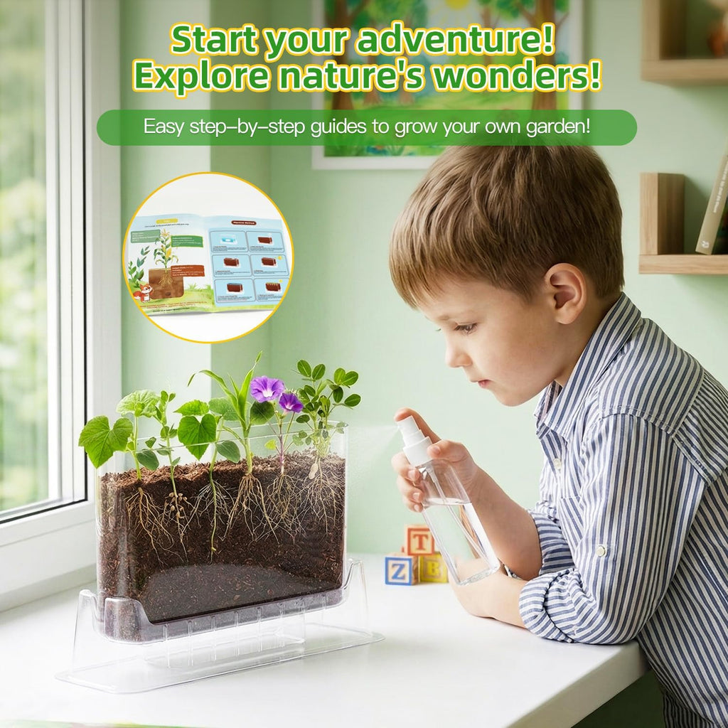 TitaniX Root Viewer Kit for Kids with 6 Seed Varieties, STEM Science Toy & Craft Growing Kits for Boys & Girls, Grow