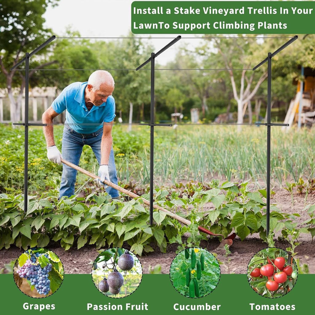 2 Pack Metal Detachable Raspberry & Grape Vine Trellis for Climbing Plants, Heavy-Duty 7 Ft Tall Large Vineyard Trellis