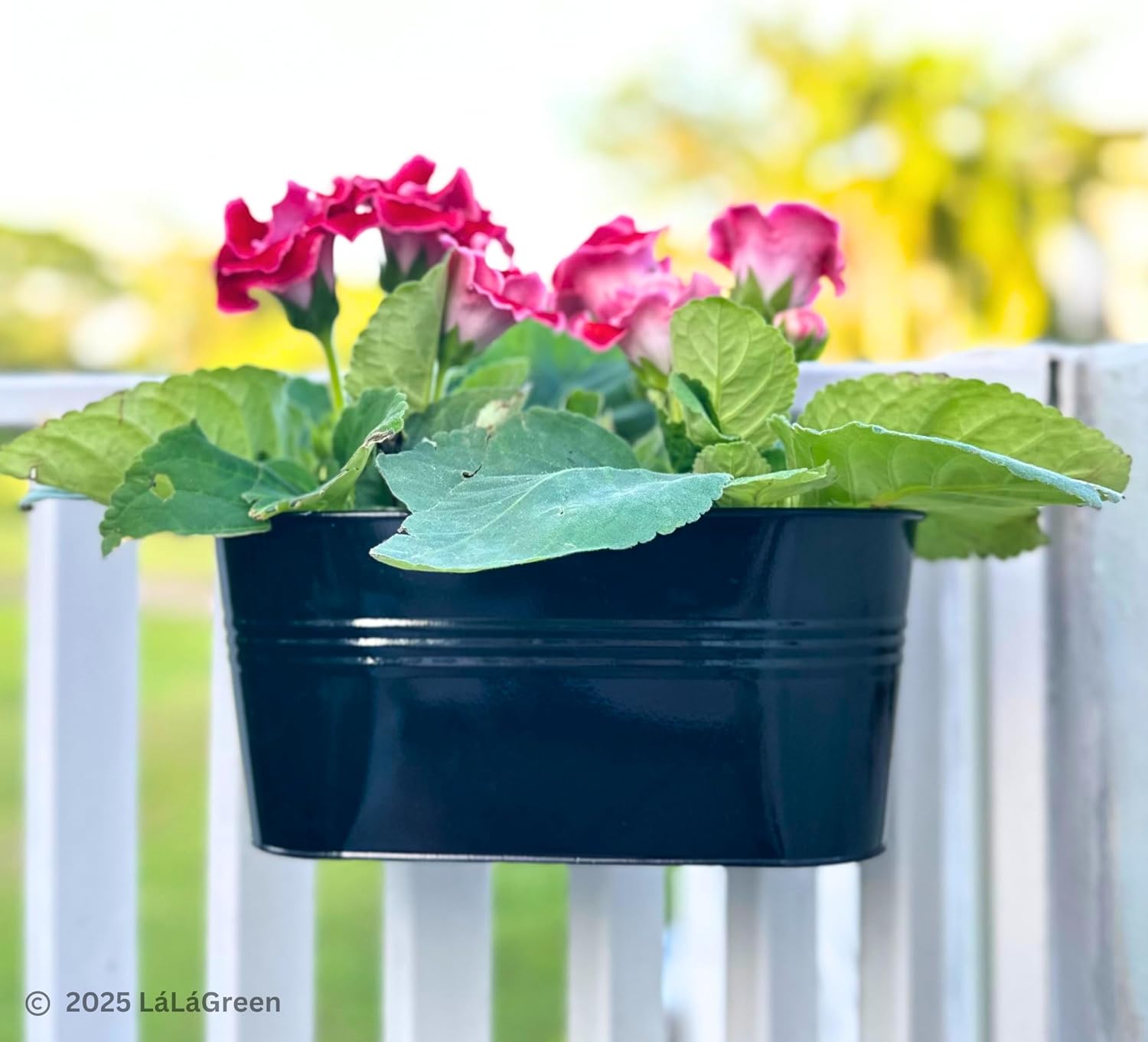 LaLaGreen Outdoor Rail Planter (11.8 Inch, 6 Pack) Black Metal Iron Hanging Flower Pots Deck Railings Fence Buckets