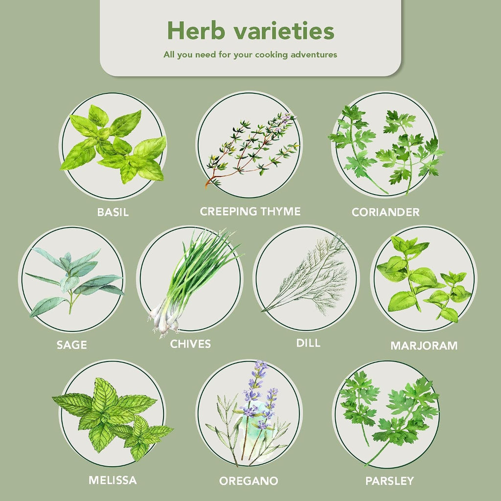 10 Herb Indoor Window Herb Garden - Includes Pots, Trays, and Compressed Soil for Easy Indoor Herb Growing - Perfect