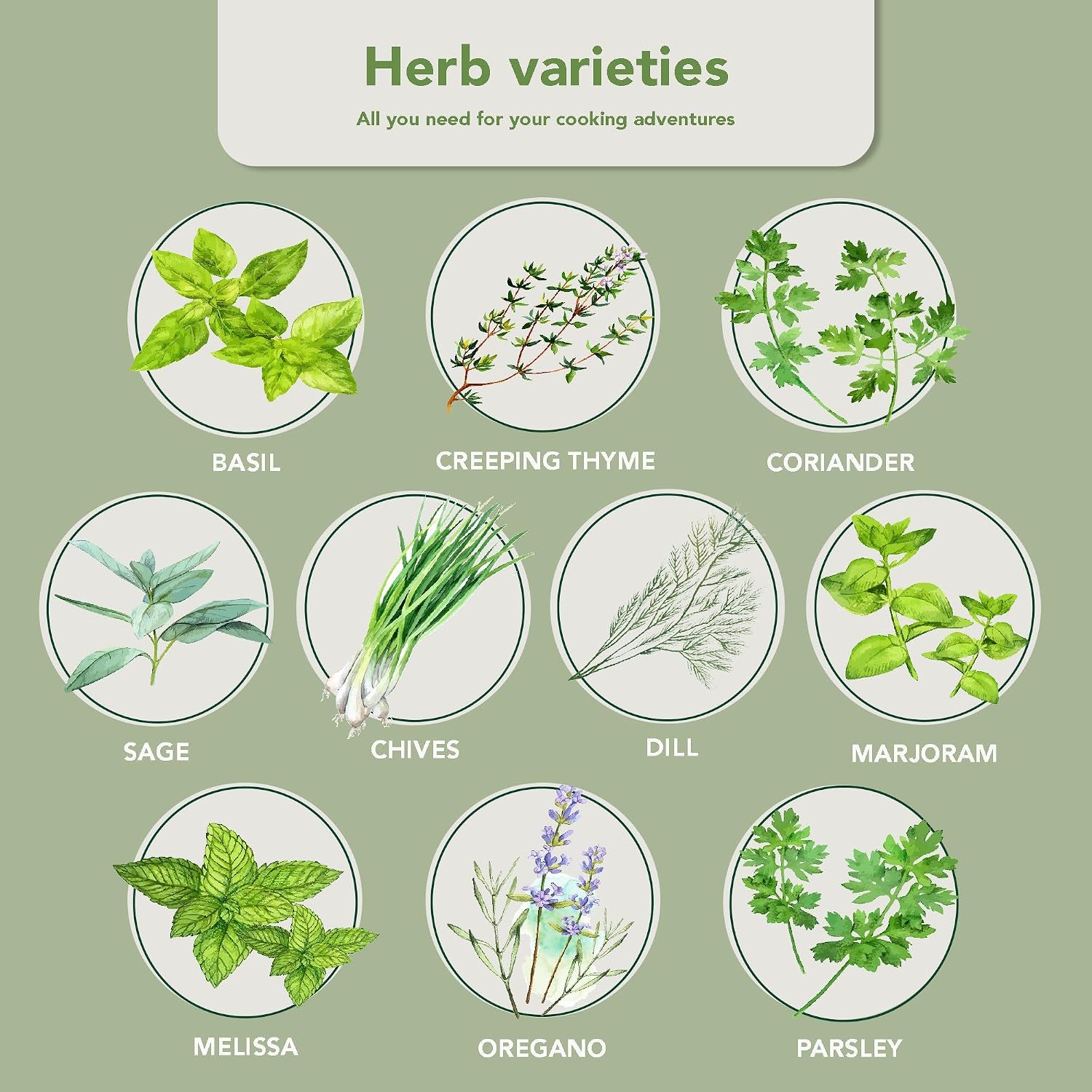 10 Herb Indoor Window Herb Garden - Includes Pots, Trays, and Compressed Soil for Easy Indoor Herb Growing - Perfect