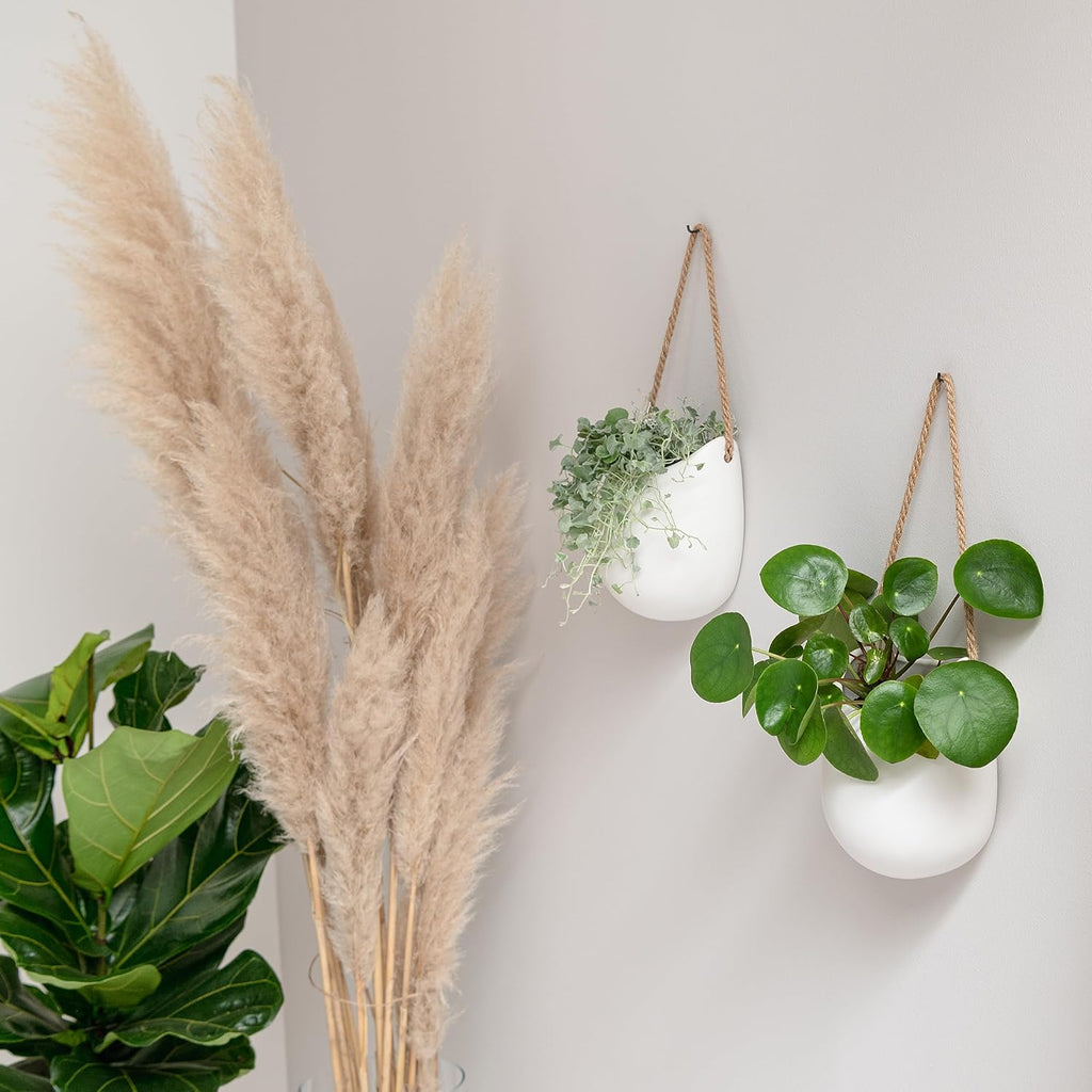 Kazai. Wall Planters -Ellie- | Hanging Ceramic Plant Pots 2 Pieces | Wall Decoration for Indoors, Balcony and Garden