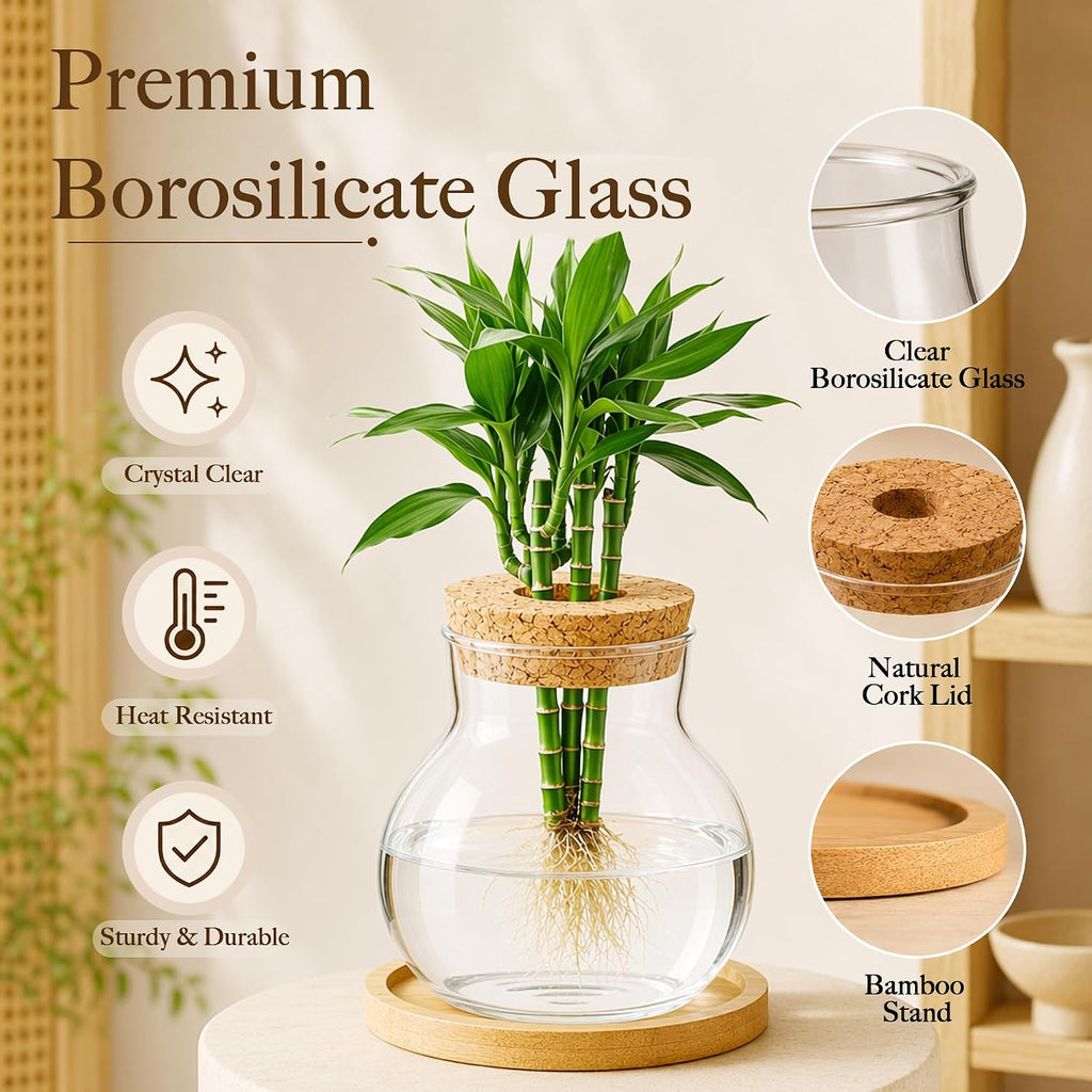 6 Pcs Plant Propagation Station Set, Glass Propagation Vases for Plants with Wooden Lids & Bamboo Stands, Hydroponic