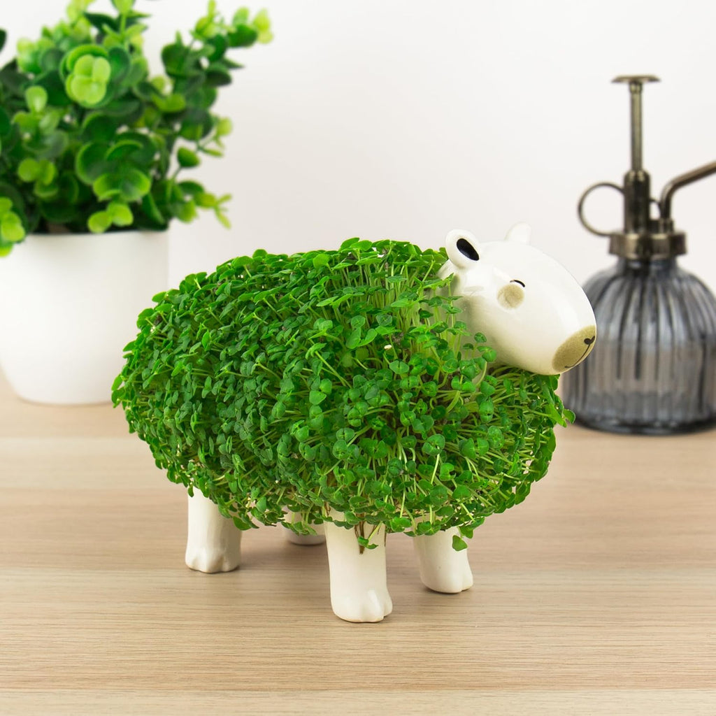 Gift Republic Capybara Chia Planter Desktop Sprouting Chia Animal Fun Grow Kit