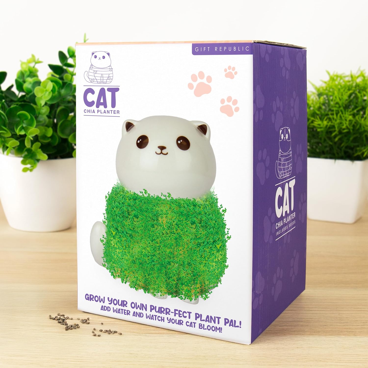 Gift Republic Cat Chia Planter Desktop Sprouting Chia Animal Fun Grow Kit