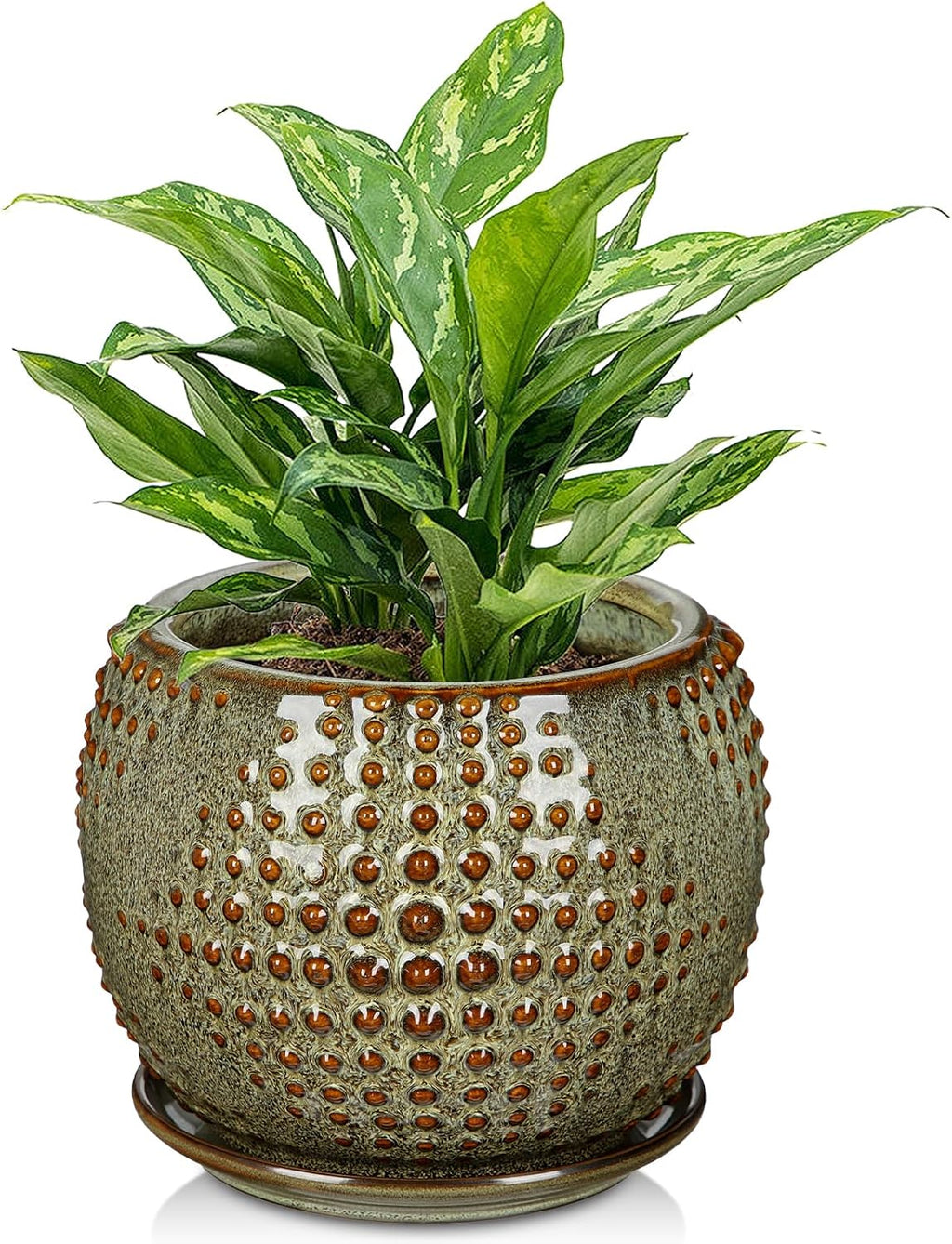 Oairse Ceramic Pot for Indoor Plants, 7 inch Plant Pot with Drainage Hole and Saucer Decorative Brown Planter with