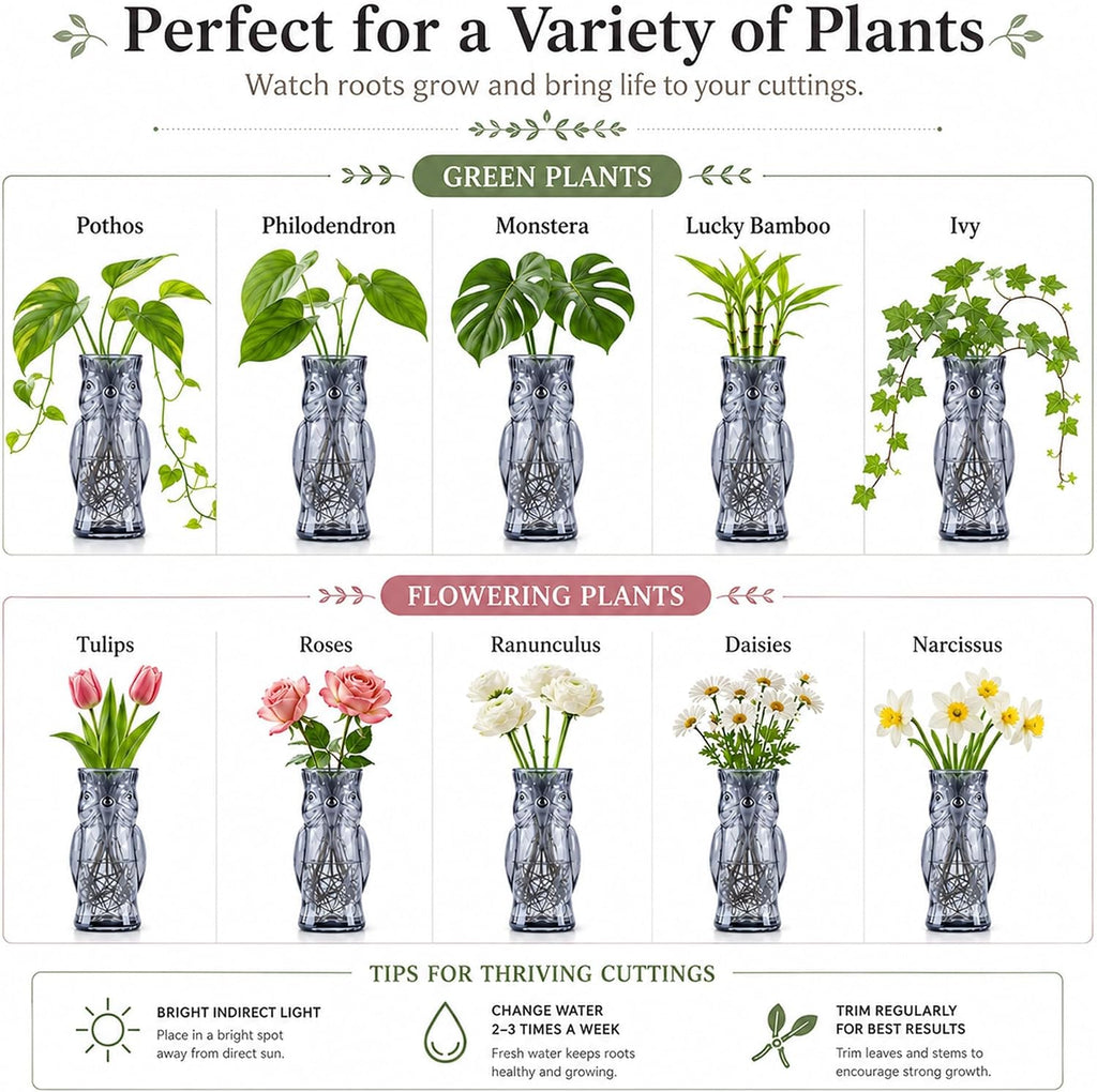 Owl Plant Propagation Station: Set of 4 Cute Grey Glass Vases | Small Plant Terrarium for Hydroponics, Home Office