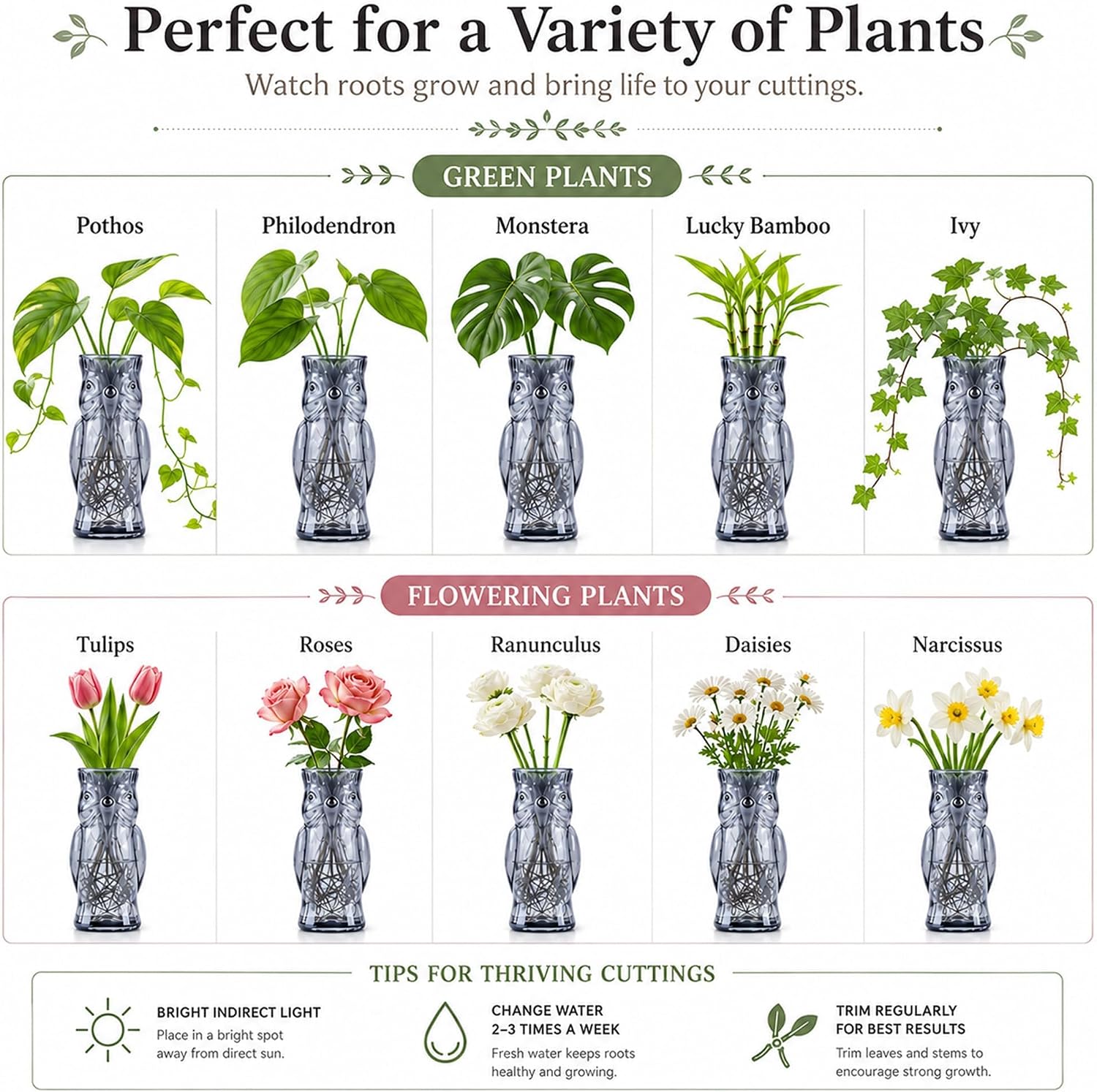 Owl Plant Propagation Station: Set of 4 Cute Grey Glass Vases | Small Plant Terrarium for Hydroponics, Home Office