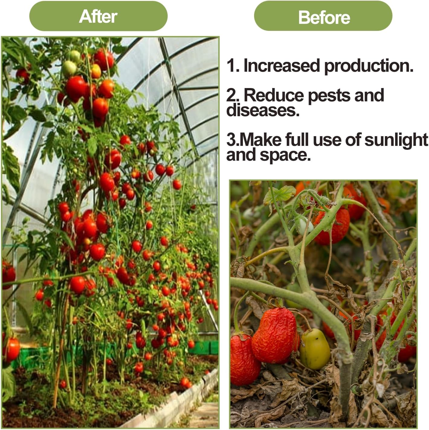 40 Pack Tomato Roller Hooks with 49.2FT String, Greenhouse Trellising Kit for Tomato,Plant, Greenhouse,Flower Vine
