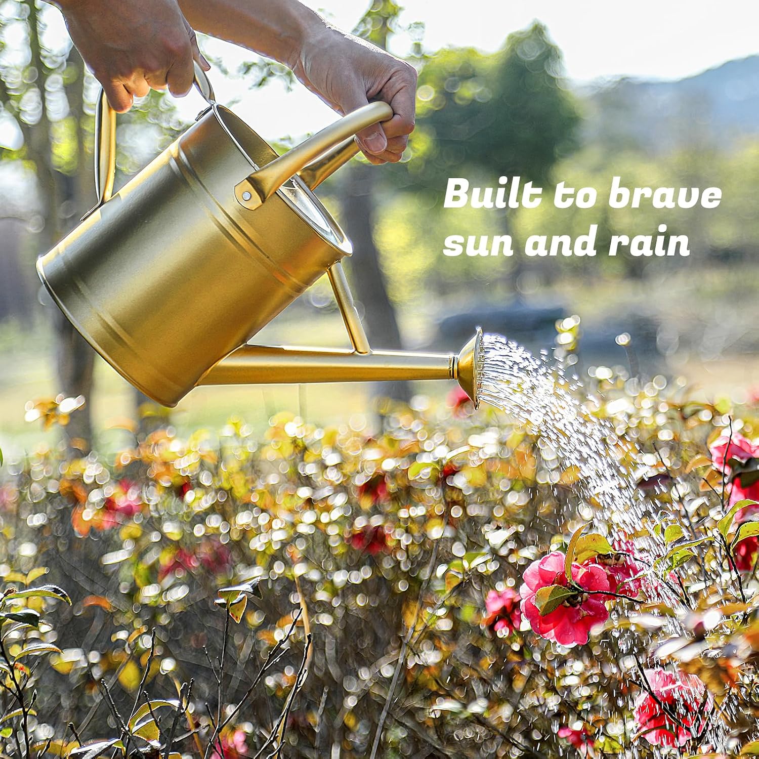 1 Gallon Watering Can for Plants, Watering Cans for Indoor&Outdoor Gardening, Galvanized Steel Watering Pot with