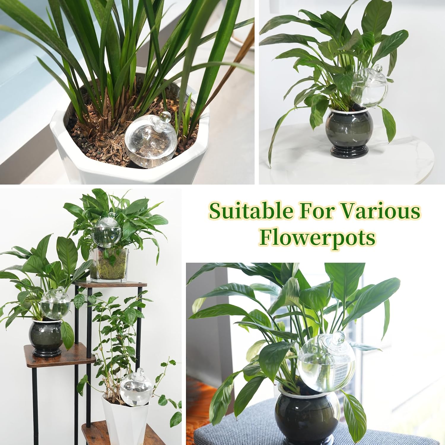 6pcs Plant Self Watering Globes with Covers, Plastic Water Bulbs Top Fill, Plant Watering Devices System Slow Release