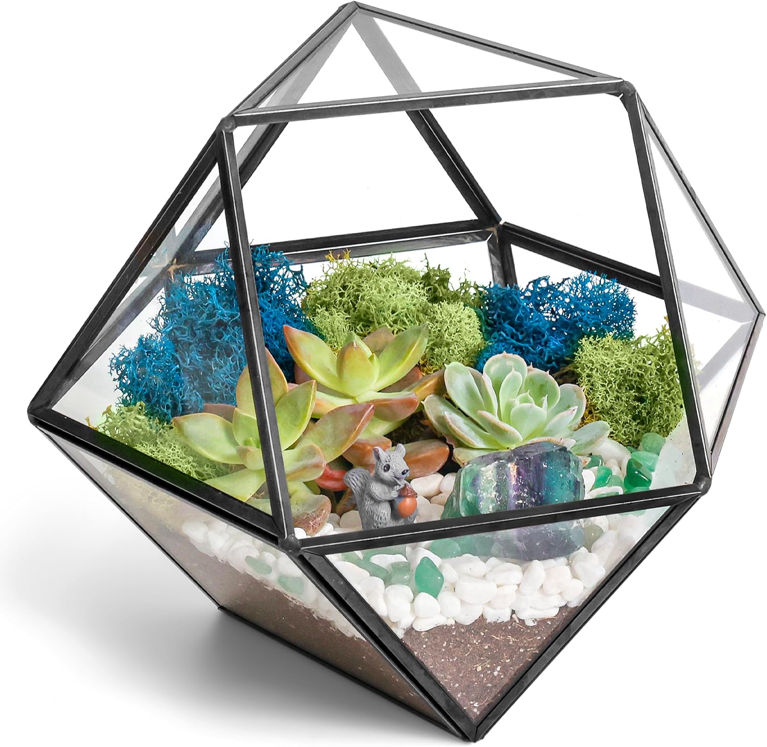 Creations by Nathalie DIY Geometric Terrarium Kit with Live Plant and Moss | DIY geometric glass terrarium kit with