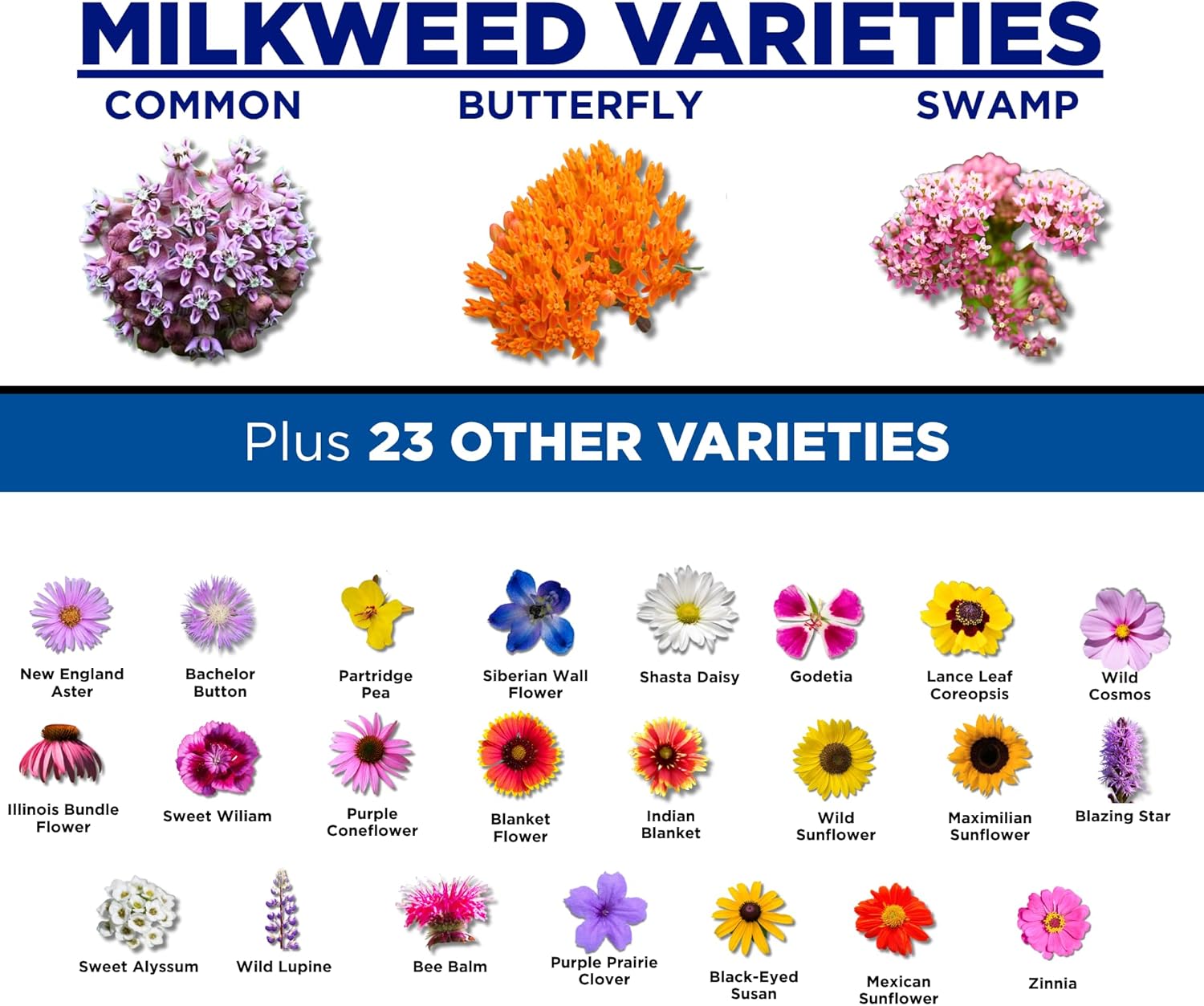 Monarch Butterfly Garden Kit with Milkweed Seeds–Perennial Flower Seeds to Plant Outside| 1/4 Pound Pure Bulk