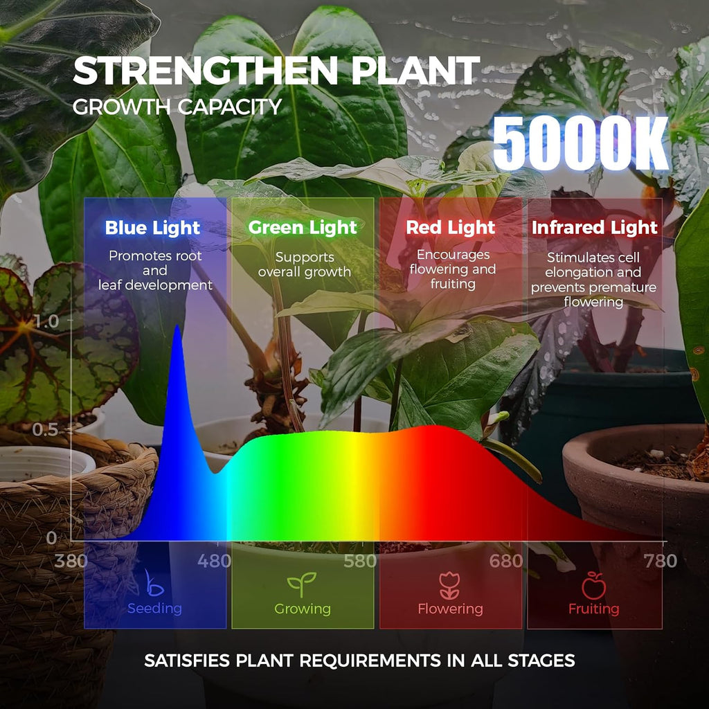 Barrina LP1200 Indoor Greenhouse with Grow Light, 4 Tier Stand with Tent | Adjustable Shelf, 150W TX-S50 3.2FT 5000K