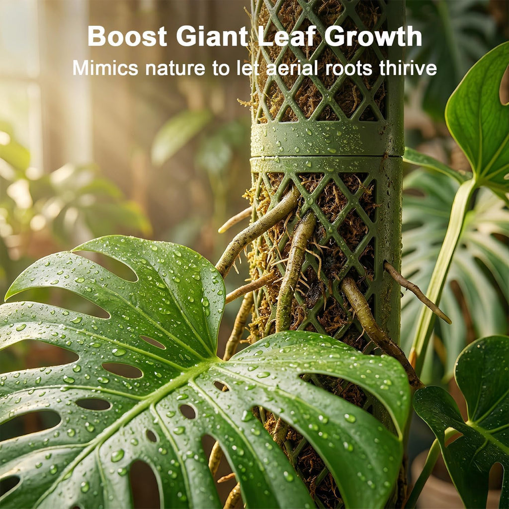 Moss Pole Monstera Plant Support: 40" Stackable Kit for Climbing Vines | No-Rot D-shape Plastic Mesh Trellis Stakes