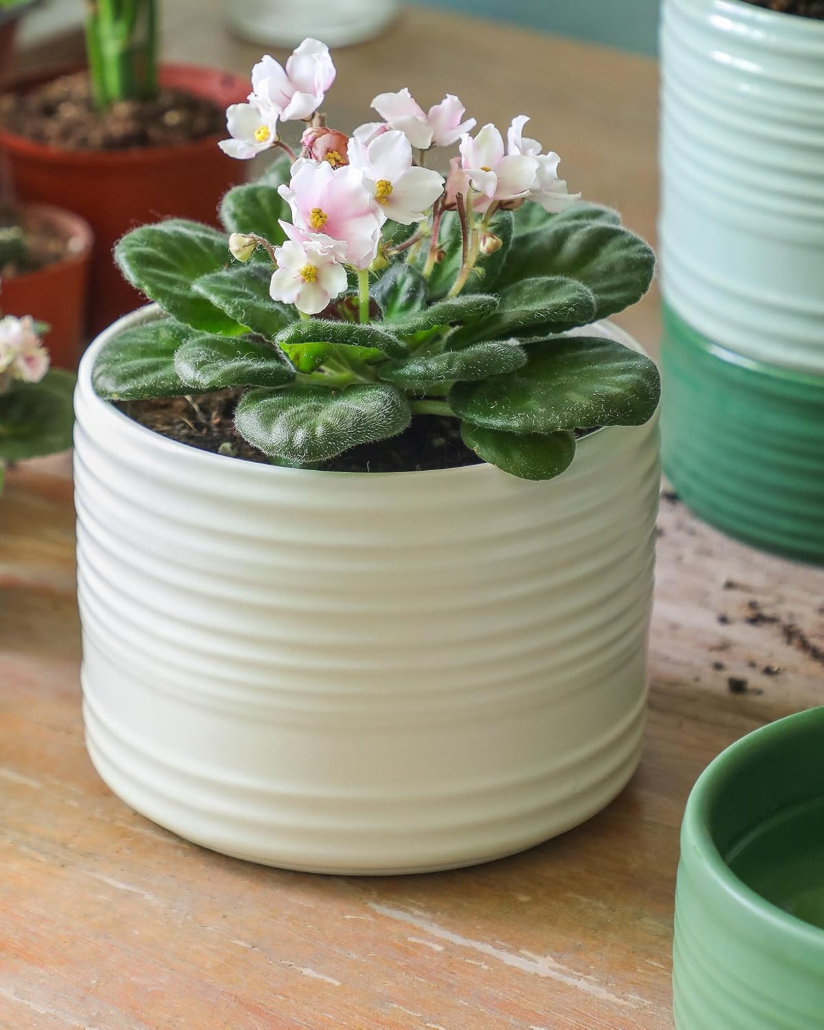 Fayoula Self Watering Pots for Indoor Plants, 6 Inch Ceramic Self Watering Plant Pot, Planter Pot with Wick Rope and