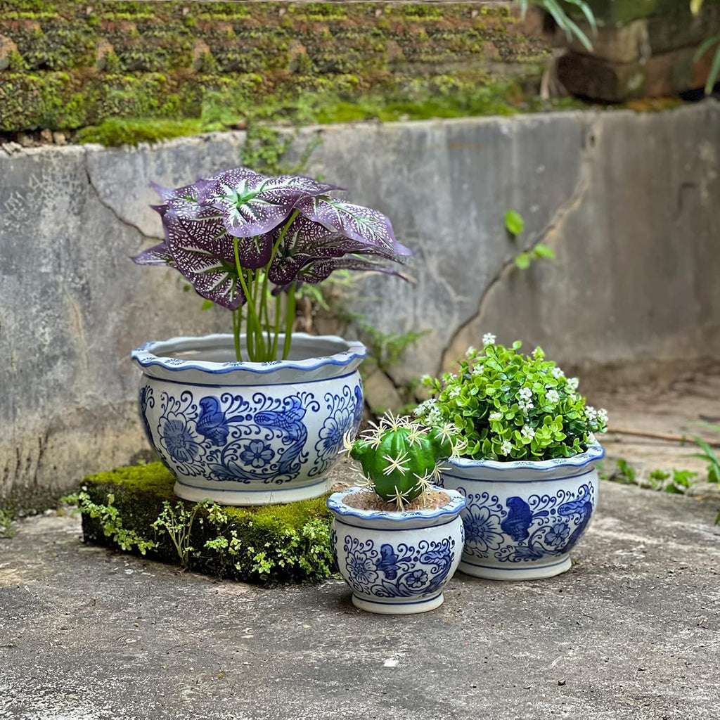 HakkaGirl Blue and White Planters, Succulent Pots Ceramic Plant Pots Indoor with Drainage for Home Décor - Set of 3