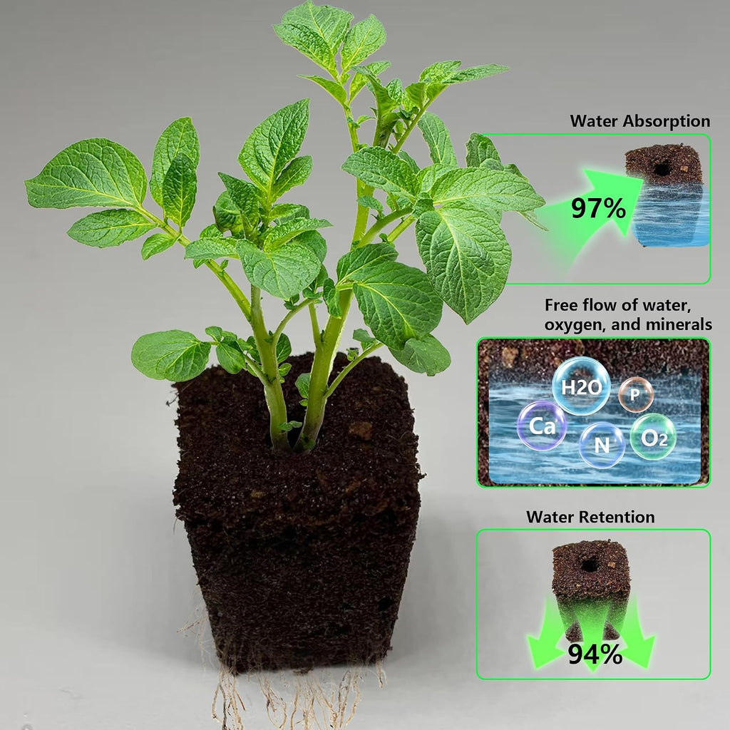 80Pcs Hydroponic Grow Sponges and 40Pcs Grow Baskets for Hydroponics Growing System，Ideal for NFT Systems，Seedling