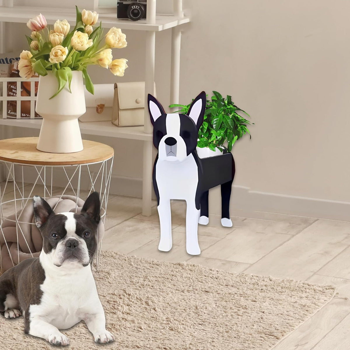 Boston Dog Planter Pots, Animal Shaped Flower Pot | Cute Plant Gift for Women and Pet Lovers, Indoor Outdoor Garden