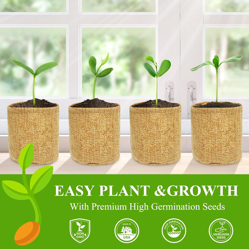 Indoor Herb Garden Kit, Culinary Herb Starter Kit with Seeds & Tools for Beginners, Kitchen Decor, House Warming Gifts