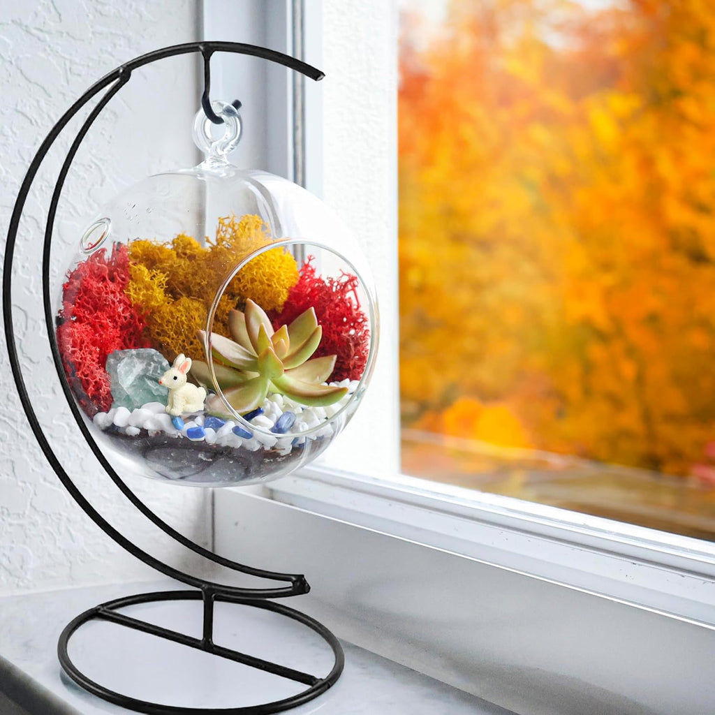 Creations by Nathalie DIY 5" DIY Globe Terrarium Kit - Build Your Own Glass Terrarium for Adults & Teens with Moss