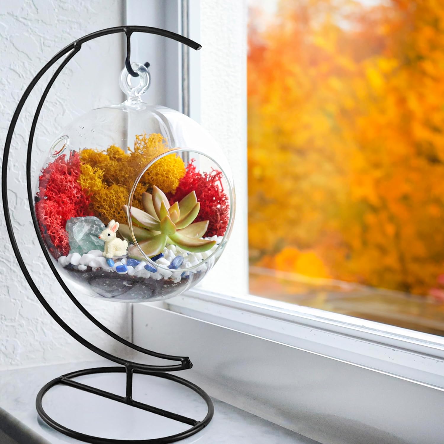 Creations by Nathalie DIY 5" DIY Globe Terrarium Kit - Build Your Own Glass Terrarium for Adults & Teens with Moss