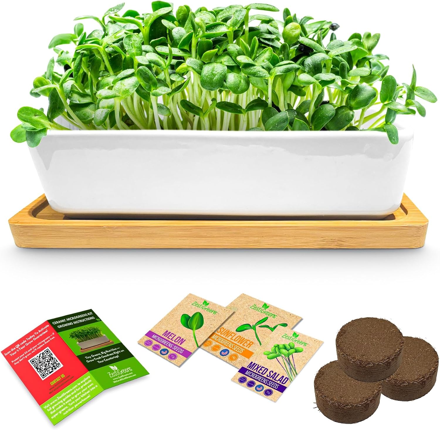 Ceramic Microgreens Growing Kit with Sunflower, Melon & Mixed Seeds | Ceramic indoor kit with sunflower, melon and