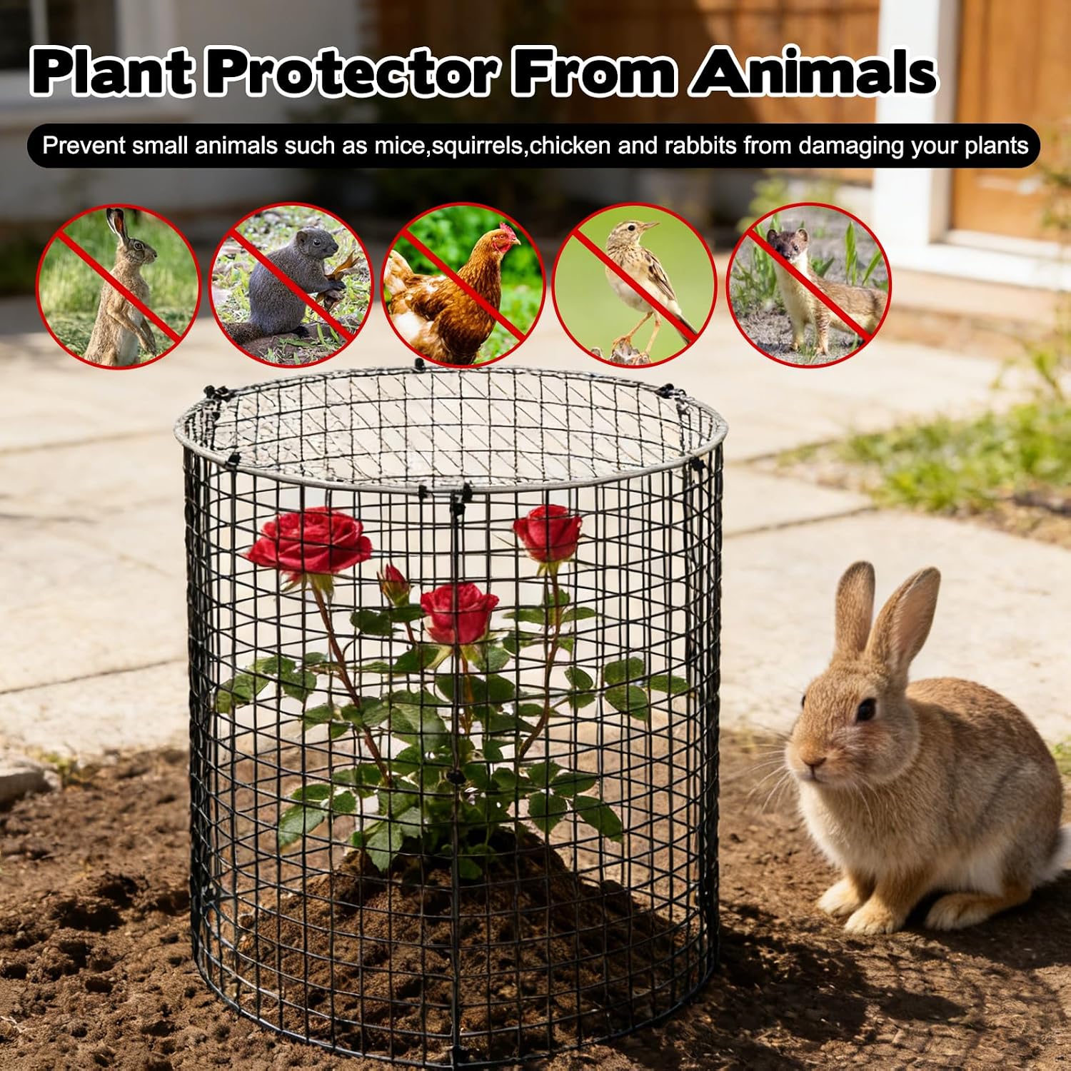 10 Sets 12"x 12" Garden Plant Protectors from Animals with Detachable Covers Metal Plant Cage Chicken Wire Cloche with