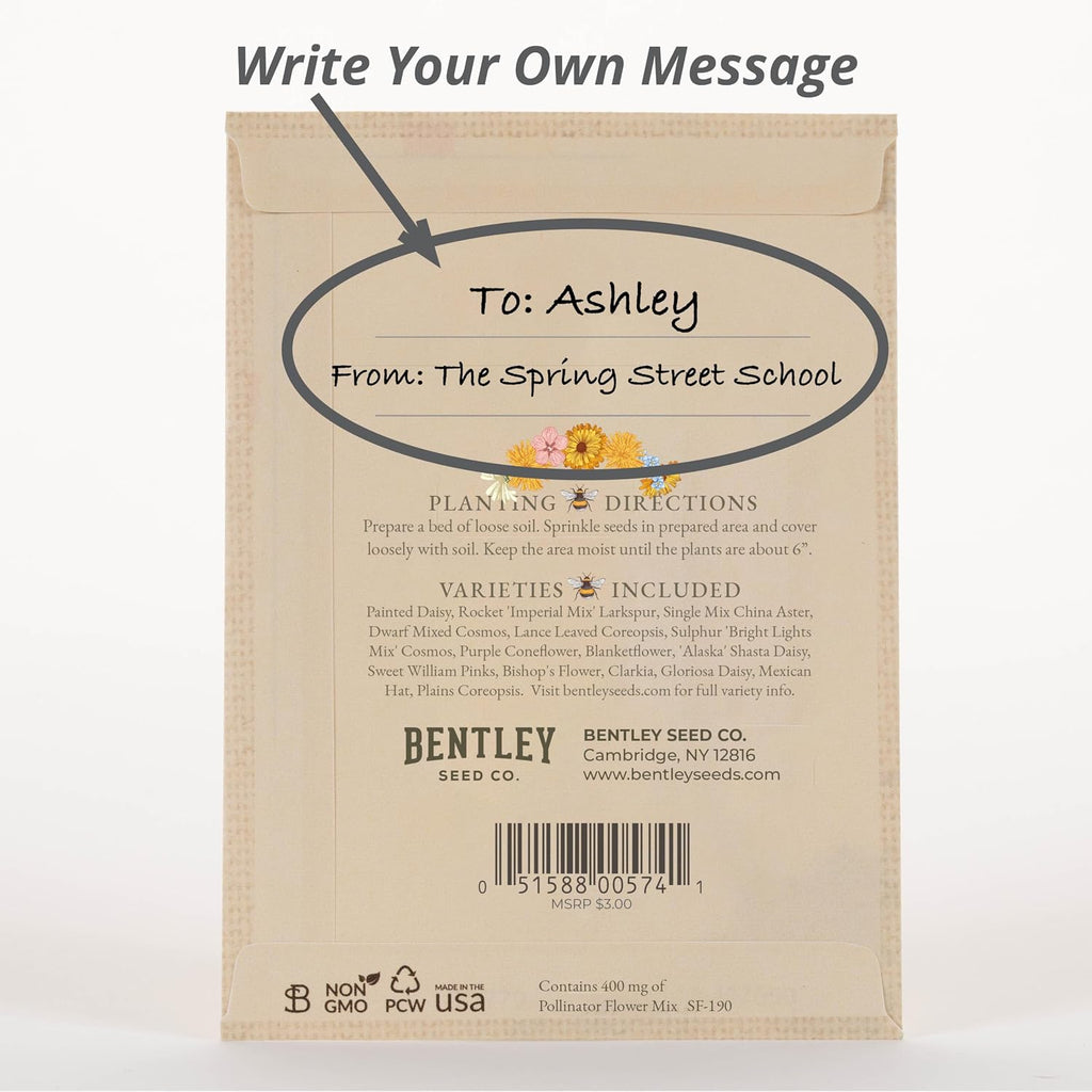 Bee Kind Pollinator | Beautiful Bee Art | Environmental Favors Cards for Guests Seed Packets | Pollinator Wildflower