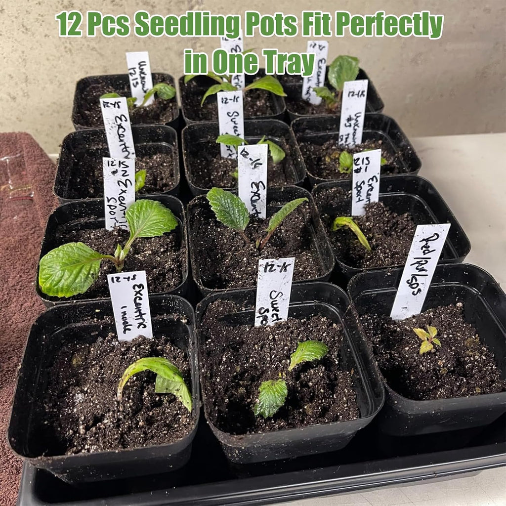 mwellewm 5 Pcs Seed Starter Tray, 3.5 Inch (9CM) 60 Pcs Nursery Pots Kit, Thickened Seed Starting Trays Square Seedling