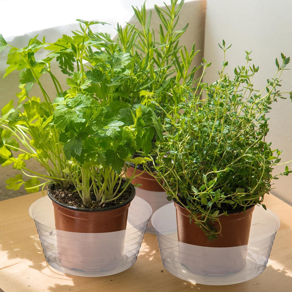 Plastic Plant Saucer Clear Deep Drip Tray Thickened Clear Plant Saucers Trays for Pots Deep Drip Trays for Home Garden