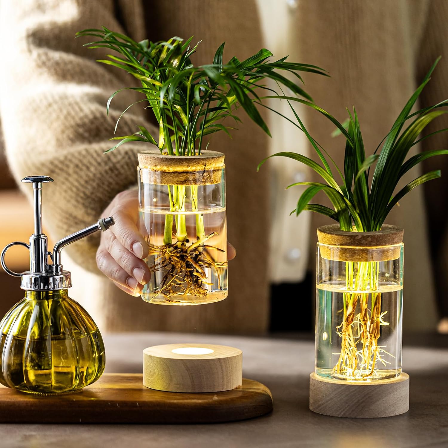 Glass Plant Propagation Stations, Propagation Vases for Plants with Ambient Light Base, Hydroponic Vase for Home &