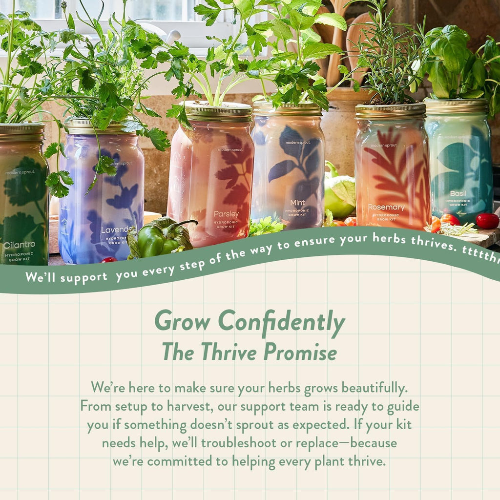 Modern Sprout Garden Jars + Smart Growbar Bundle- Basil, Rosemary & Parsley | Self-Watering Hydroponic Herb Growing Kit
