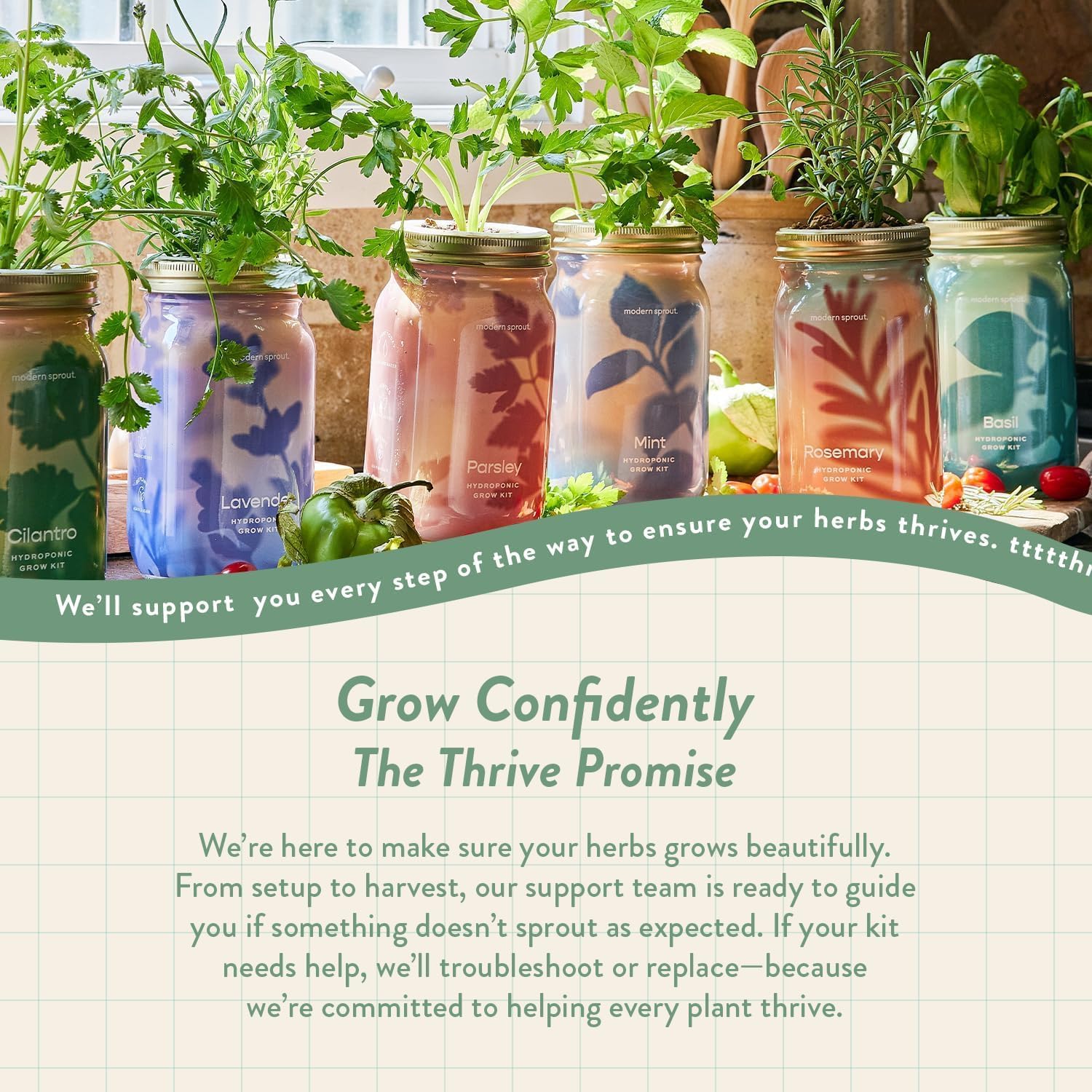 Modern Sprout Garden Jars + Smart Growbar Bundle- Basil, Rosemary & Parsley | Self-Watering Hydroponic Herb Growing Kit