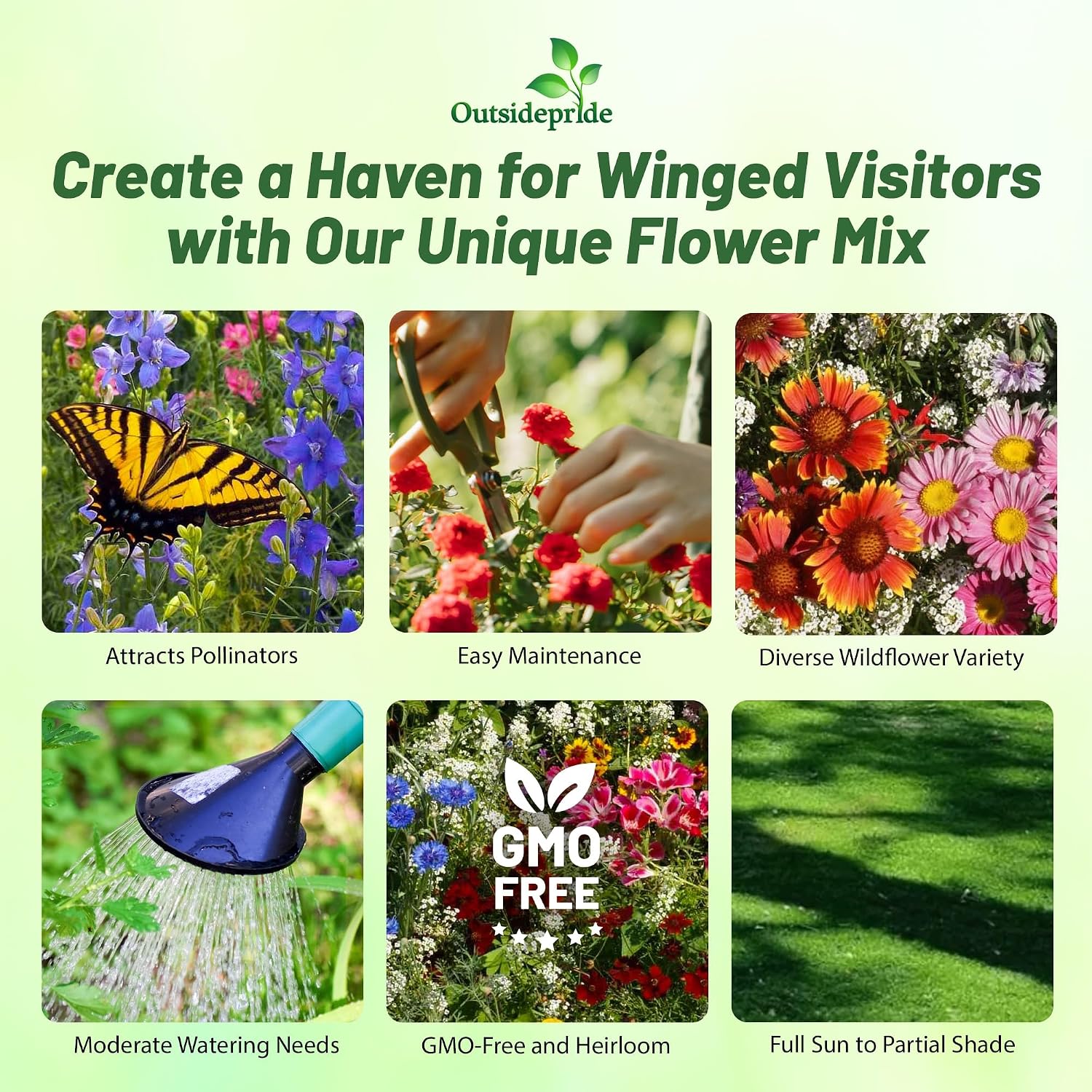 Outsidepride Birds & Butterfly Wild Flower Seed Mix - 1 Lb. Premium Blend of Annual & Perennial Wildflower Seeds for