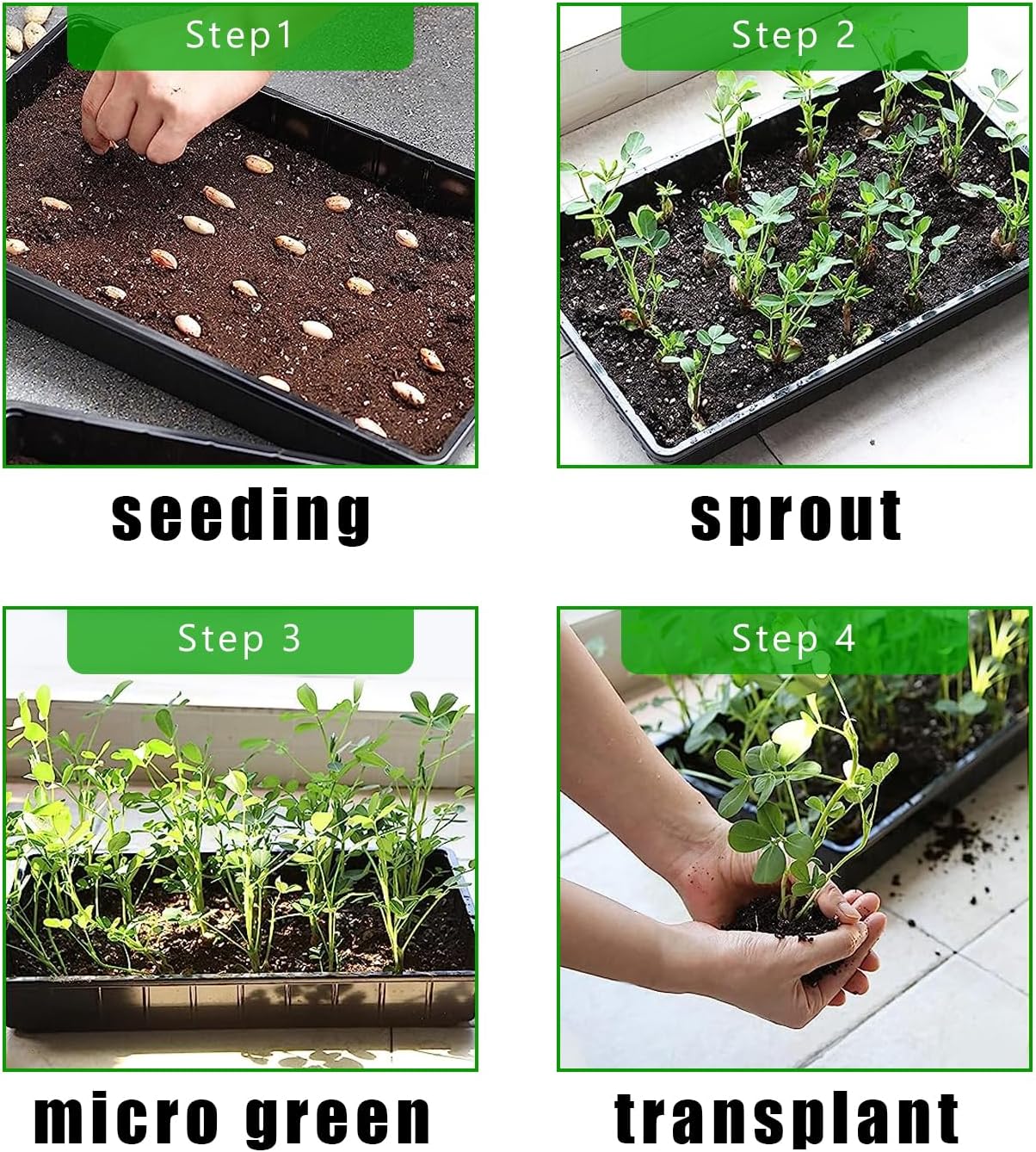 RooTrimmer 10 Pack 1020 Trays, Extra Thick Heavy Duty Seed Starting Trays - No Holes, No Leak, Reusable Propagation