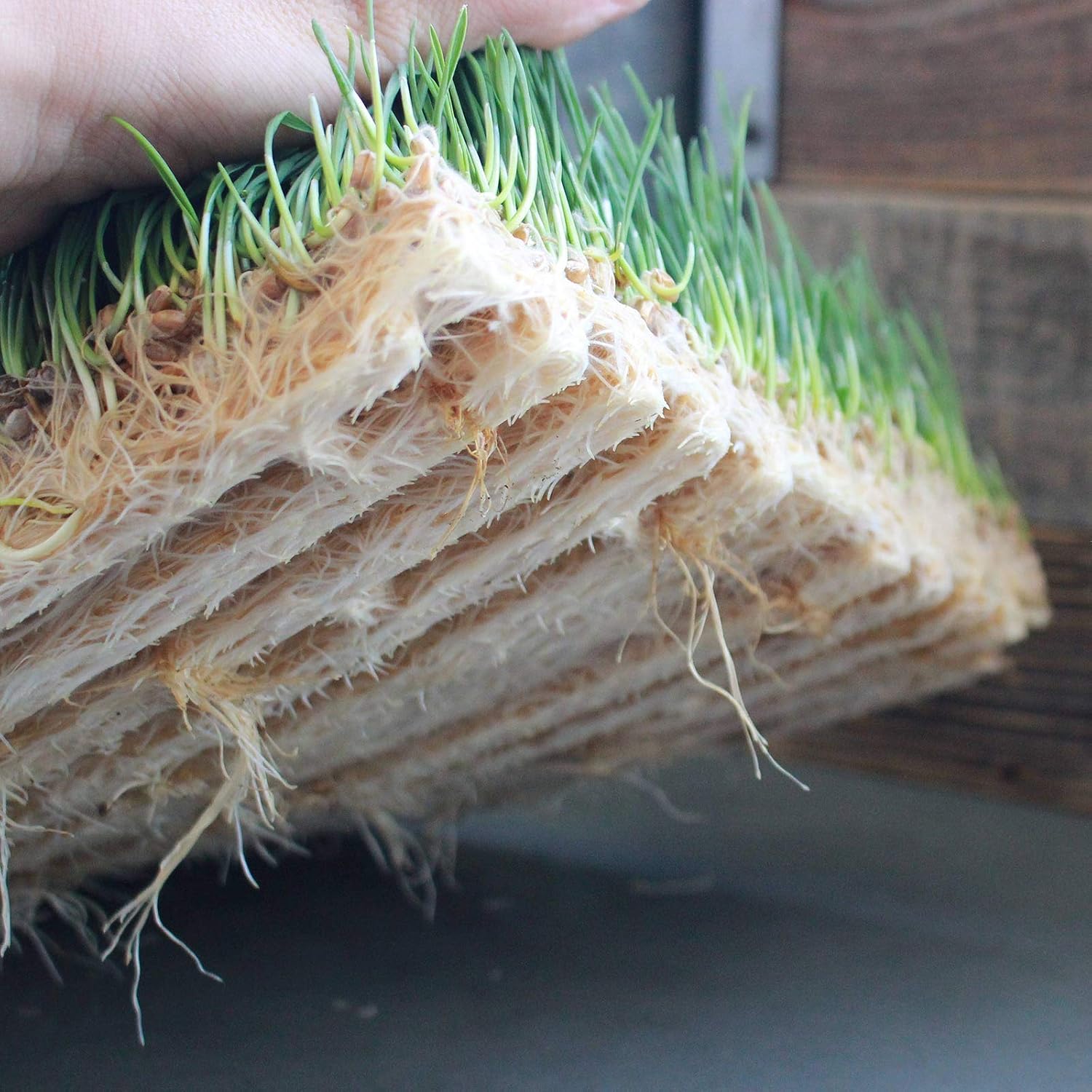 Handy Pantry Pro Micro Jute Microgreens Grow Mat 10x20 Inche Pack of 10 Pad | 1020 Growing Trays - Hydroponic Grow