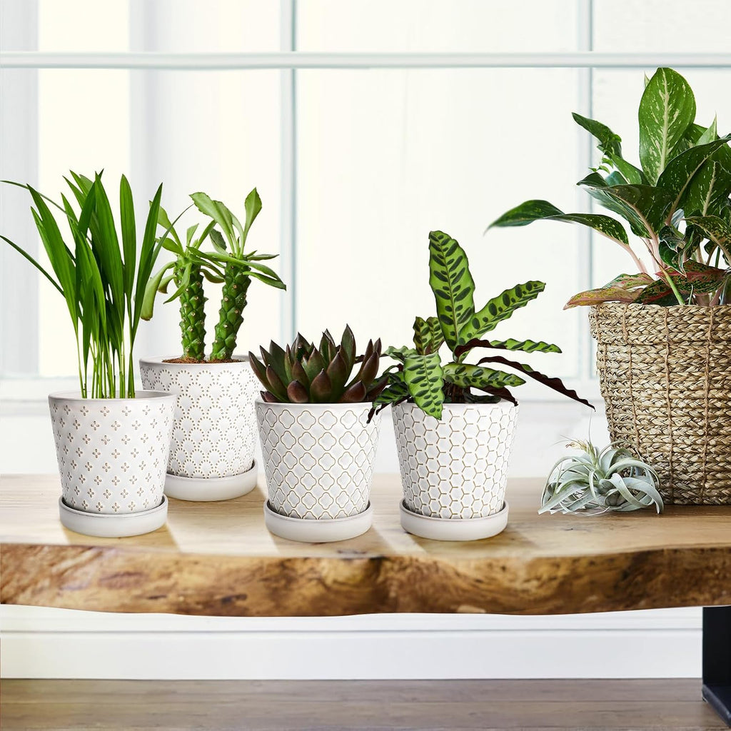 EFISPSS Ceramic Plant Pots Indoor, 5 Inch Planters with Drainage Holes and Ceramic Tray, Relief Design Flower Planter