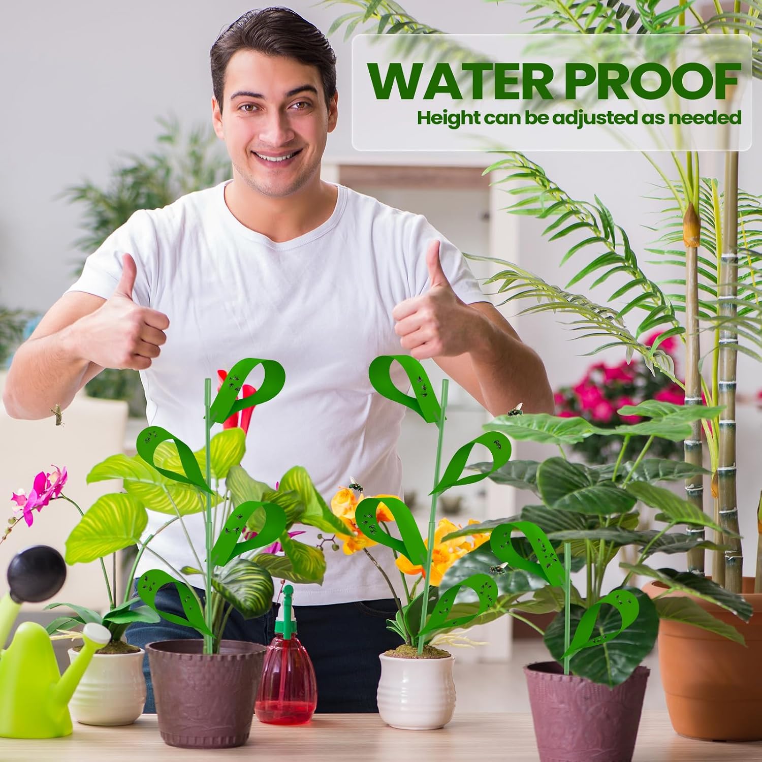 Qualirey 300 Pcs Sticky Houseplant Traps Fungus Gnat Fruit Fly Trap Sticky Houseplant Stakes Insect for Outdoor Garden