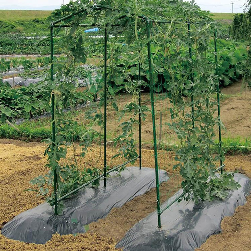 Xiny Tool Garden Stakes, 25 Pack Steel Plant Garden Tomato Stakes with Plastic Coat for Climbing Plants (25 Pack 58