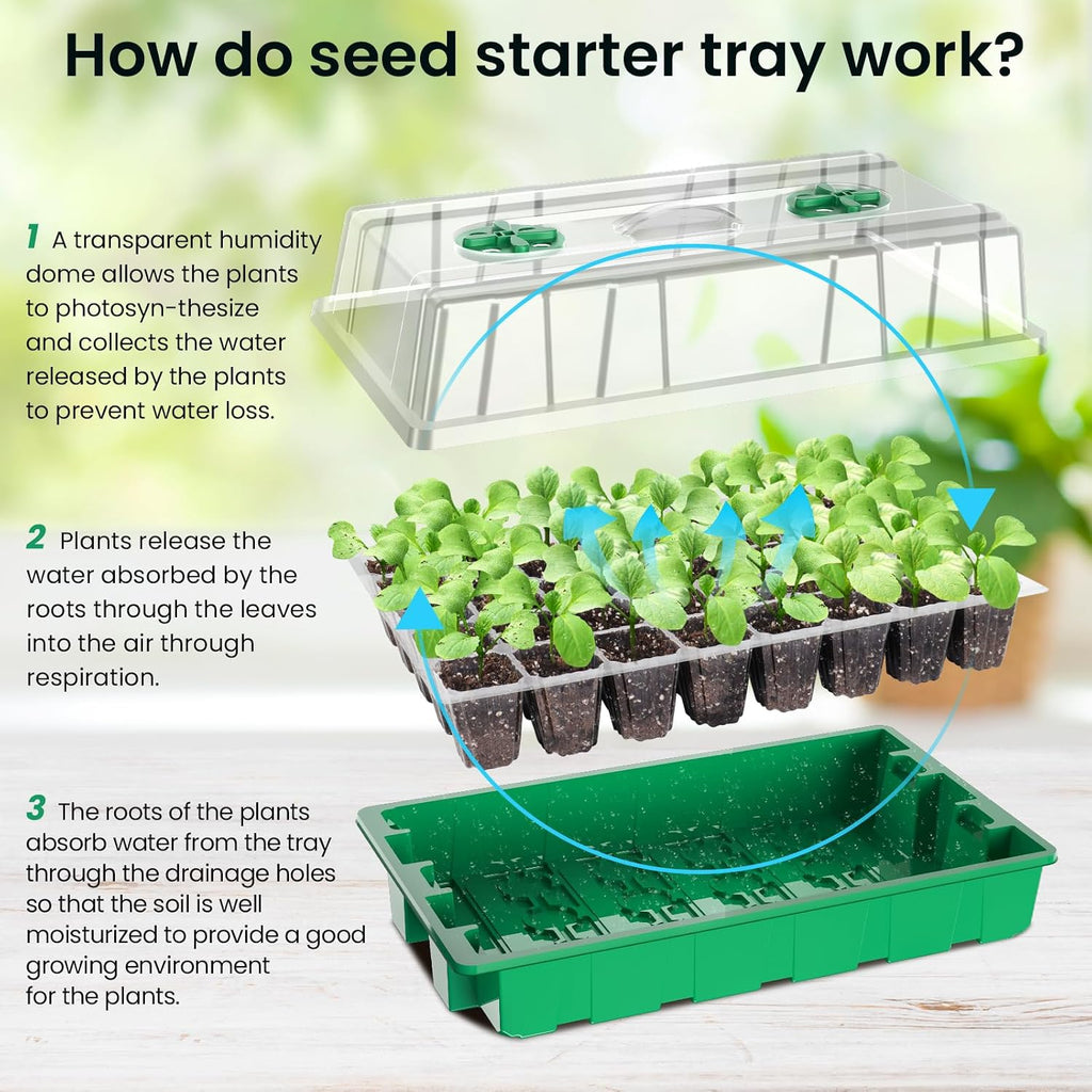 MIXC Seed Starter Tray with Lights, 2 Packs Mini Propagator Plant Grow Kit Greenhouse with Humidity Vented Domes and