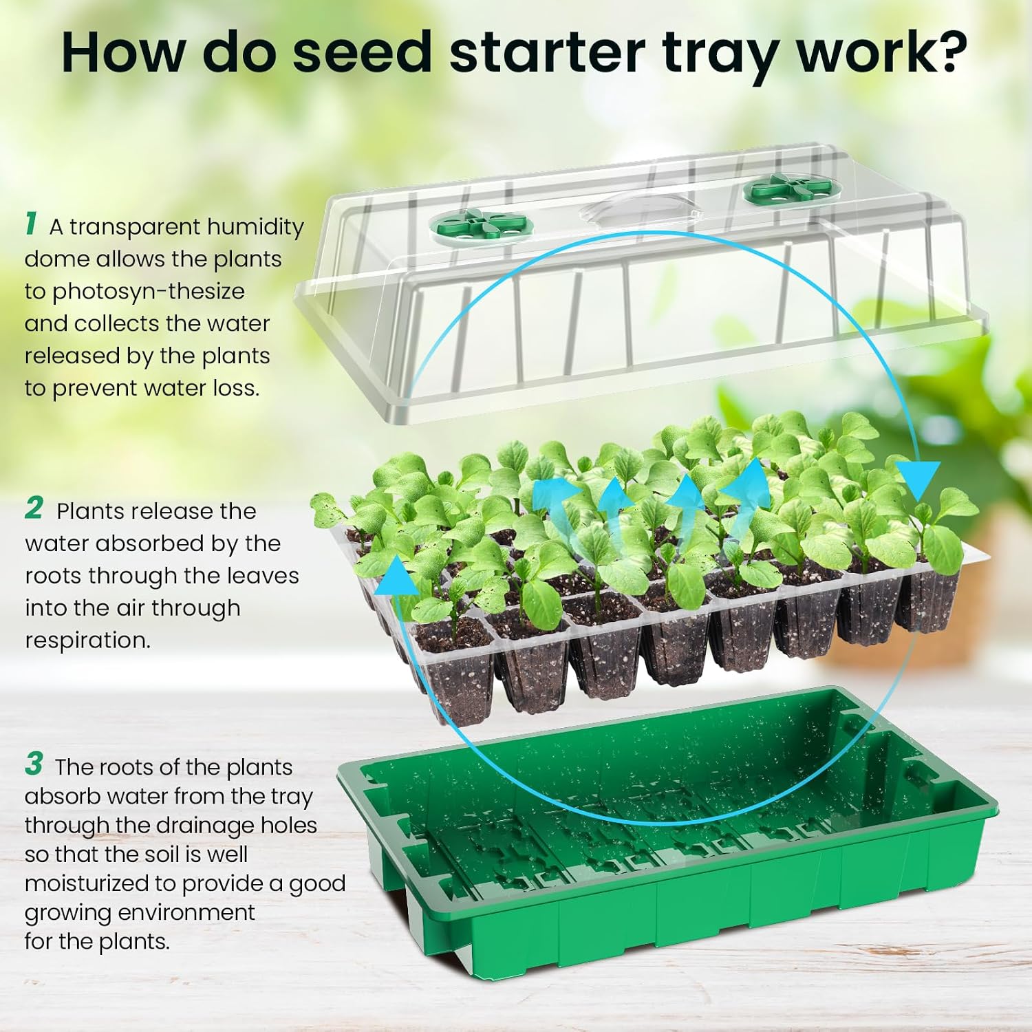 MIXC Seed Starter Tray with Lights, 2 Packs Mini Propagator Plant Grow Kit Greenhouse with Humidity Vented Domes and