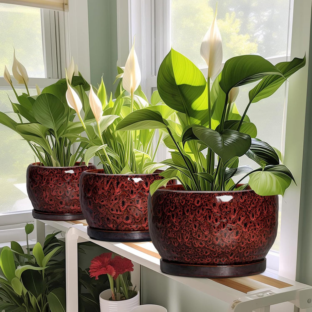 SQOWL Ceramic Pot for Plants - 6 Inch Plant Pot Indoor with Drainage Hole and Saucer, Decorative Flower Pot Outdoor