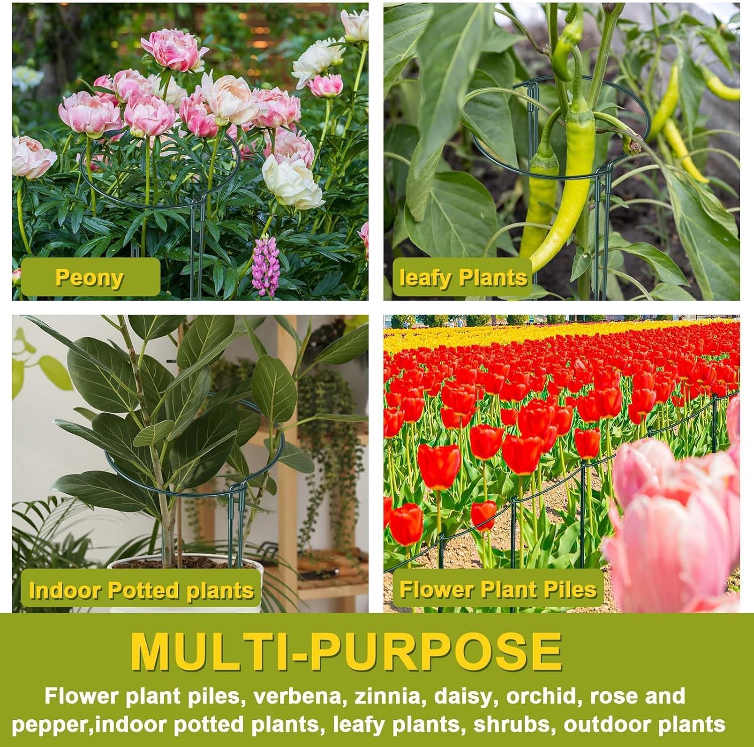 HiGift 4 Pack Height Adjustable Metal Plant Support (36" H or 24" H or 12" H), Heavy Duty Peony Cages and Supports