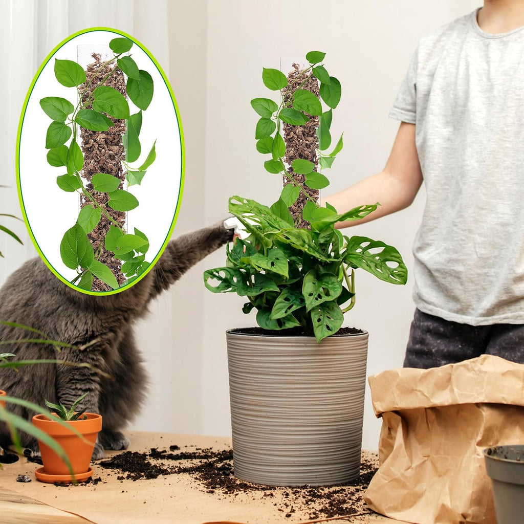 10 Pieces Plastic Moss Pole for Monstera Including 4 Pcs 24 Inch Clear Plant Poles for Indoor Climbing and 6 Pcs 15
