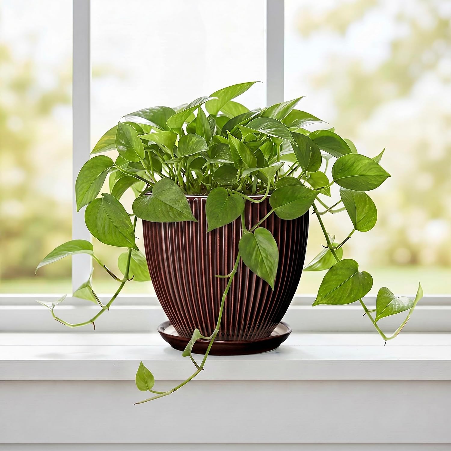 6 Inch Planter, Ceramic Plant Pots Indoor with Drainage Hole and Saucer, Round Flower Orchid Pots for Indoor Plants