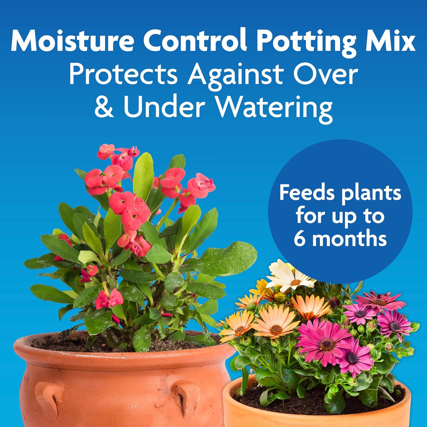 Gro Moisture Control Potting Mix, 16 qt. (2-Pack) | Plant Soil For Container Plants, Protects against Over- and